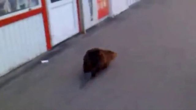 САМЫЕ ПОПУЛЯРНЫЕ МЕМЫ 2020(ЧАСТЬ 1)