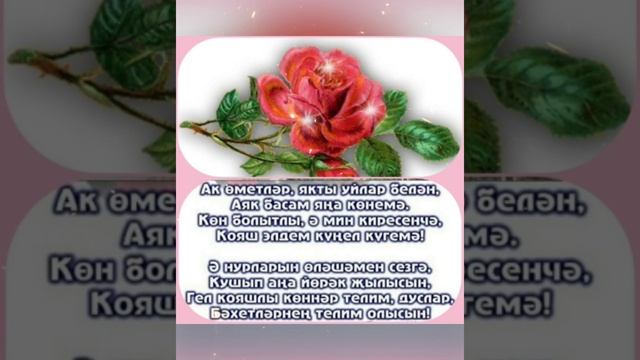 Хәерле иртәләр! Уңышлы көннәр! смотреть онлайн