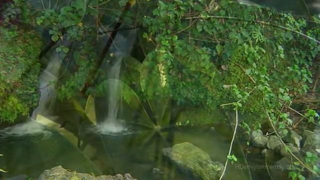 ГАВАИ ЖИВАЯ ПРИРОДА   HAWAI LIVING NATURE
