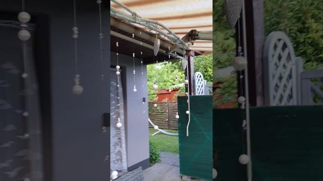 Новое украшение для сада своими руками. смотреть онлайн