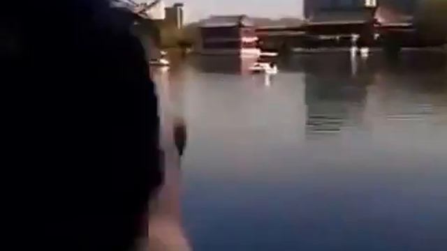 Как огромный крокодил съел девушку Ужас. смотреть онлайн