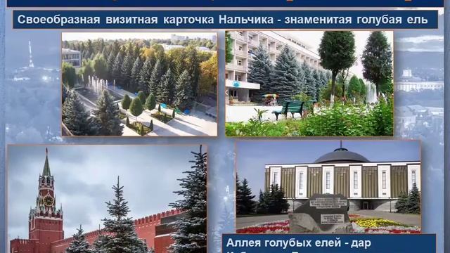 проект Любите свой край родной смотреть онлайн