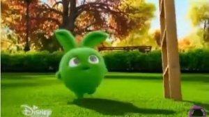 СОЛНЕЧНЫЕ ЗАЙЧИКИ - ДЕНЬ РОЖДЕНИЯ Sunny bunnies