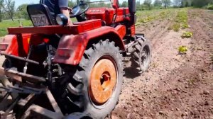 ПРОСАПКА ГАРБУЗІВ ШИФЕНГ SHIFENG 244 Первая культивация тыквы минитрактором шифенг 244 240 350 354