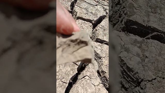 Mud Crack смотреть онлайн
