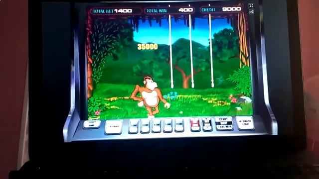 Crazy Monkey бесплатно