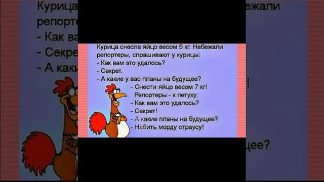 Красивые анекдоты смотреть онлайн