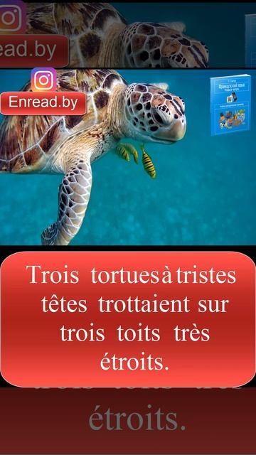 Ганчар Н.П. Французский язык. Учимся читать. Буква U. Задание 5.2 смотреть онлайн