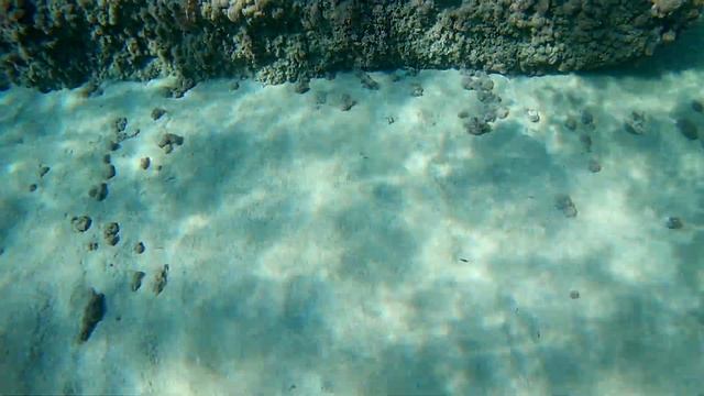 Пафос, Coral bay морской язык смотреть онлайн