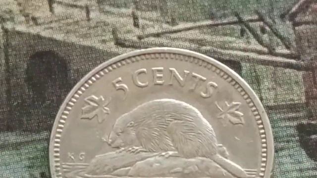 5 CENT COIN 1989 CANADA WORTH MONEY 🤑 💰 смотреть онлайн