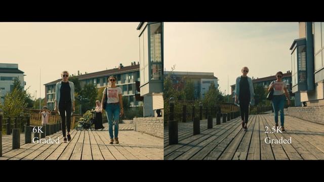 Blackmagic Pocket 6k Vs Blackmagic Cinema 2.5K Comparison