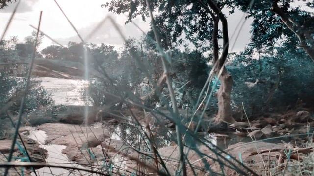Nature cinematic video / realme XT with moza mini s смотреть онлайн