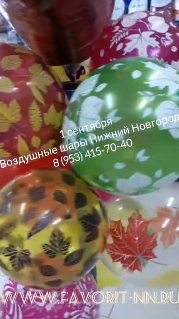 Воздушные шары 1 сентября купить в Нижнем Новгороде смотреть онлайн