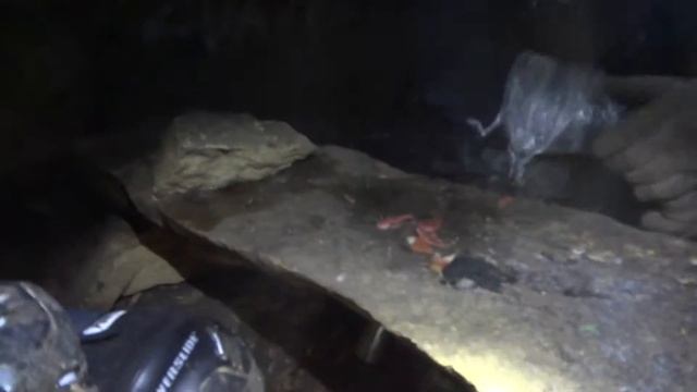 Силикаты сожгли спайсы поём смотреть онлайн