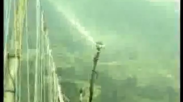 3Cultivo de Pimenton смотреть онлайн