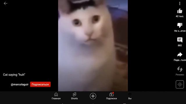 я когда учитель сказал на своём языке (видео не моё автора не помню) смотреть онлайн