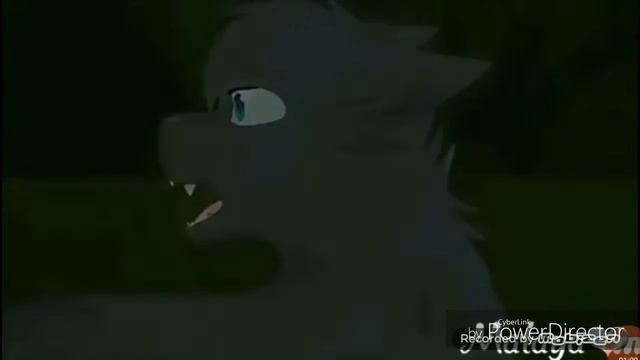 Коты Воители-Timber Загляни в Описание)