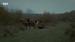 Воскрешение Эртугрул Сезон 3 Серия 19