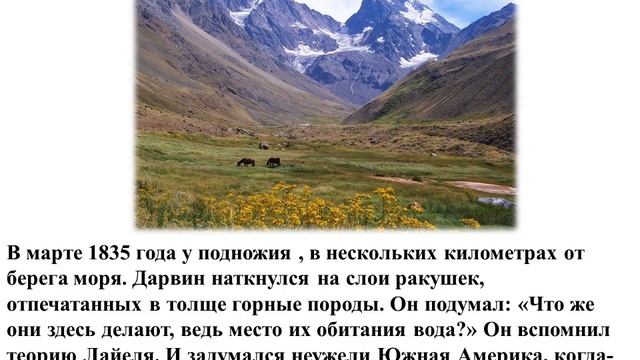 Ч Дарвин эволюционное учение смотреть онлайн