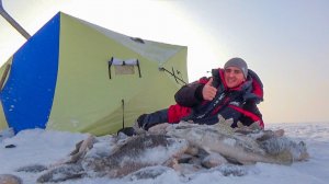 ЭТА РЫБАЛКА НЕ ДЛЯ СЛАБАКОВ! ТРИ НОЧИ В ПАЛАТКЕ НА ЛЬДУ ОЗЕРА ЧАНЫ. Зимняя рыбалка 2025