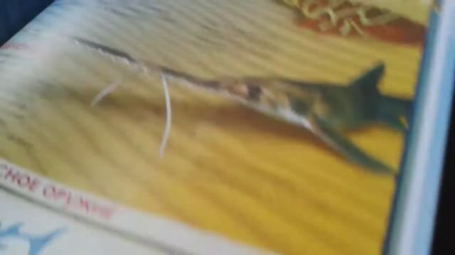 Обазреваем акул смотреть онлайн