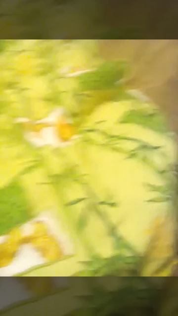 Маг смотреть онлайн