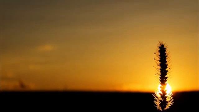 Новый нашид без музыки 2022 смотреть онлайн