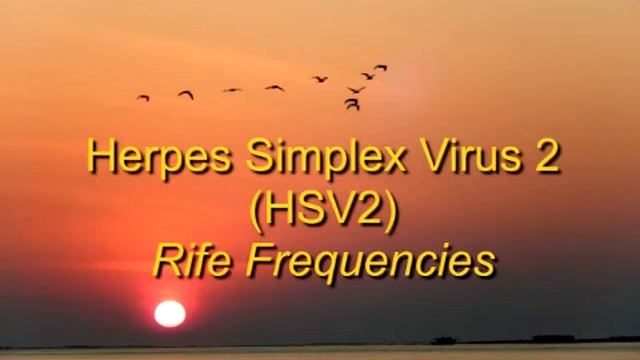 Herpes Simplex Virus 2 Rife Frequencies смотреть онлайн