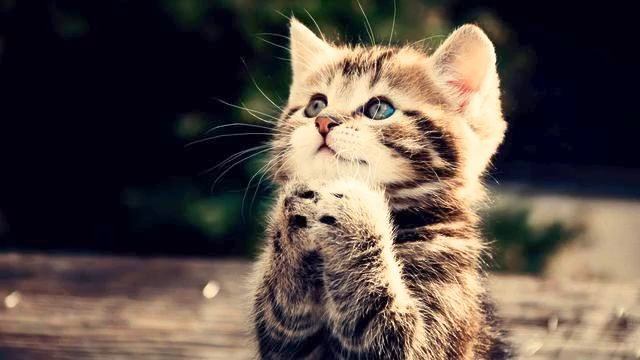 Музыка о любви слушать онлайн. Реальный хит! Посмотри... смотреть онлайн