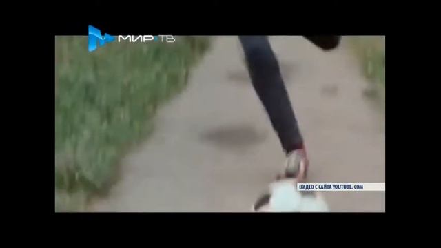 ZKD. Закон каменных джунглей (2015)