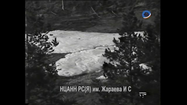Киноочерк "Невечная мерзлота" Реж. И. Райзис, опер. Г. Переверзев. — Ленин-град: Леннаучфильм,1982г смотреть онлайн