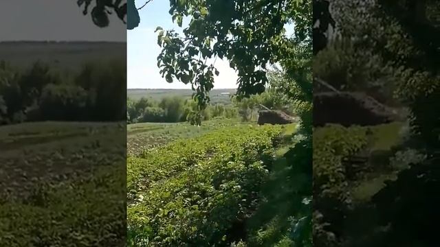 я изучаю красату природы смотреть онлайн