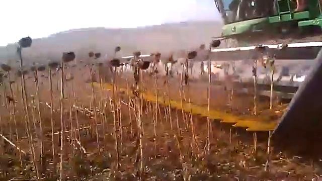 ZAFFRANI -9,4 - Bulgaria смотреть онлайн