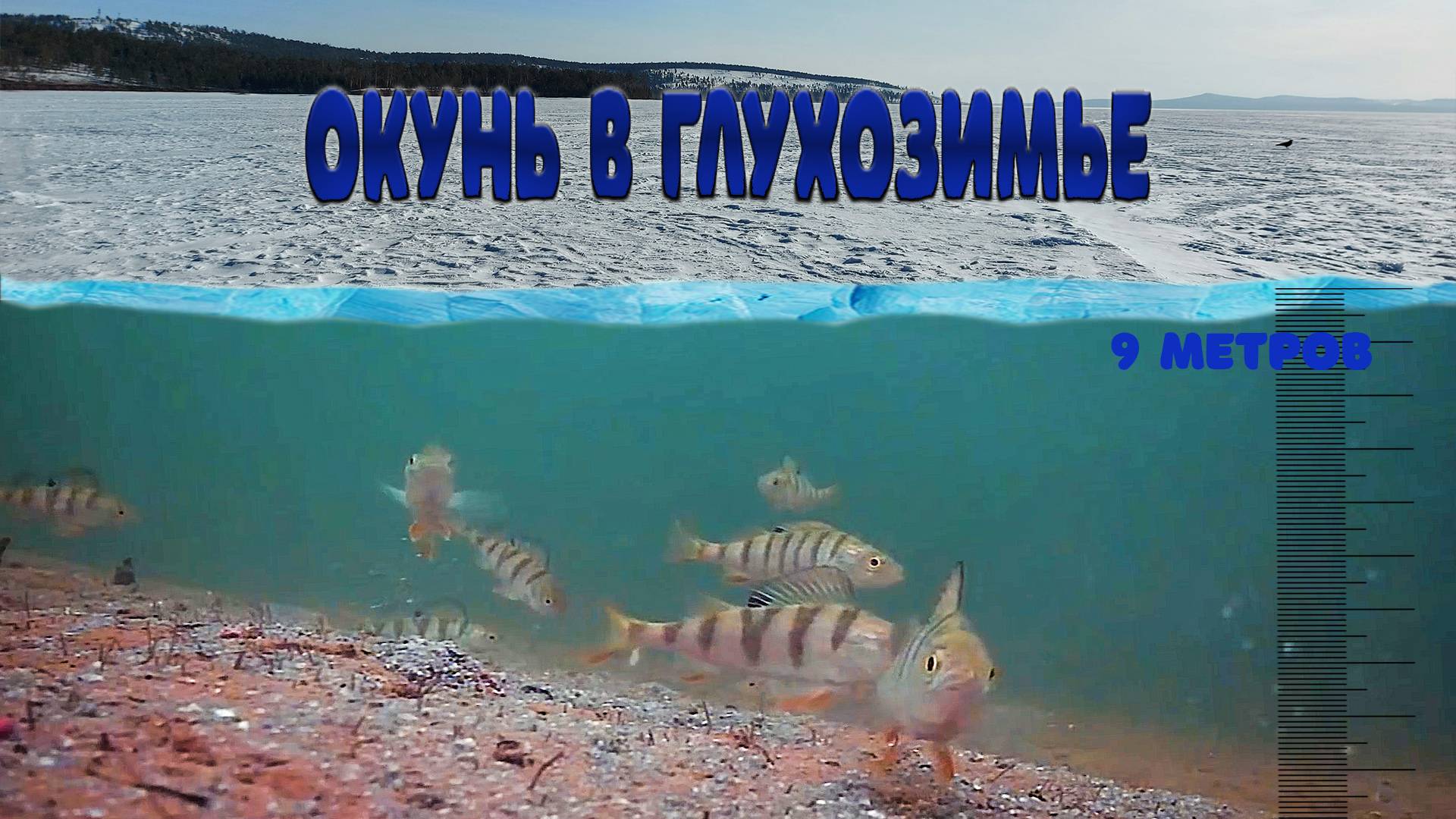 Ловля окуня в глухозимье с одной точки. Наблюдаем за поведением рыбы смотреть онлайн