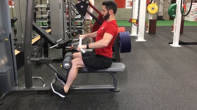 Seated Row (Wide Pronated Grip) смотреть онлайн