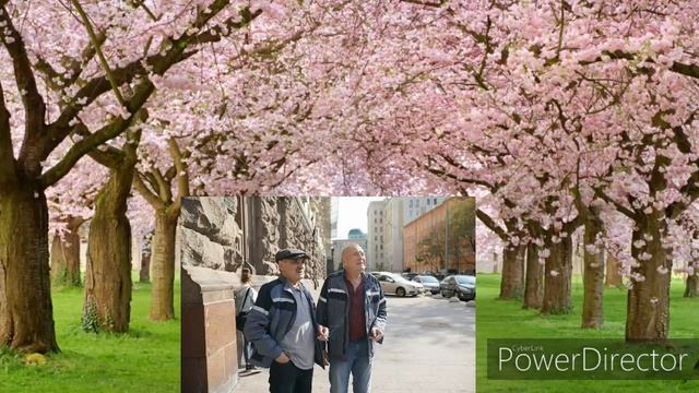 Динозавр, 2 сезон, 2 серия, премьера 2020, анонс, дата выхода