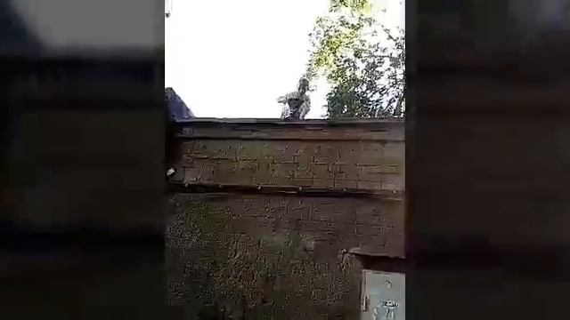 Взрываем бомбочки и ОГРОМНЫЙ ПАКЕТ С ВОДОЙ!!! Офигенно!!!