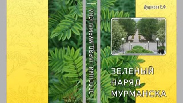 24 января в Областной научной библиотеке состоится презентация книги Елены Дудаковой «Зеленый наряд смотреть онлайн