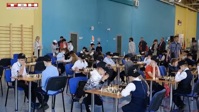 Соревнования по шахматам смотреть онлайн