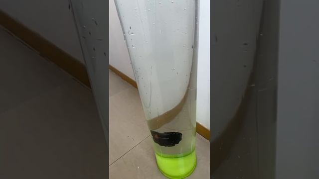 Vector Optics // Frenzy Plus 1x31x26 (SCRD-67) Large Window Red Dot Sight смотреть онлайн