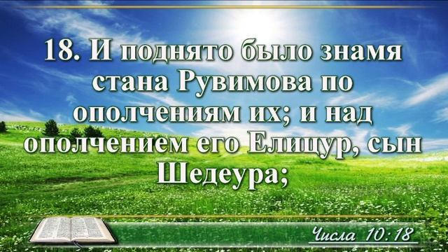 ВидеоБиблия Книга Числа без музыки глава 10 Соколов смотреть онлайн
