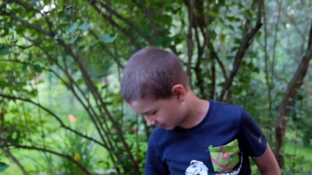 #Вася_природа 30 О ёжике и его вкусовых предпочтениях смотреть онлайн