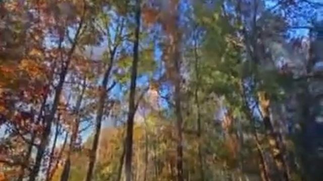 Мой фильм 82