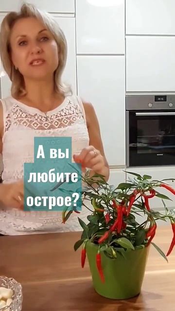 А вы любите острое? @galabum #shorts смотреть онлайн