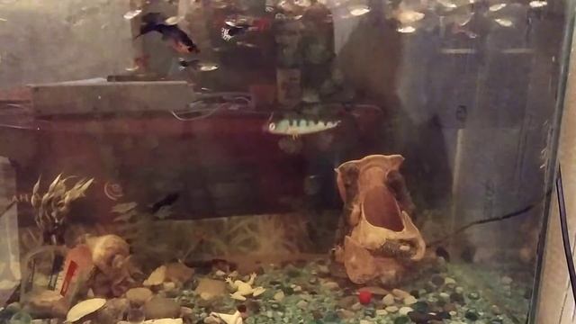 Самодельный стик. Работа под водой. смотреть онлайн