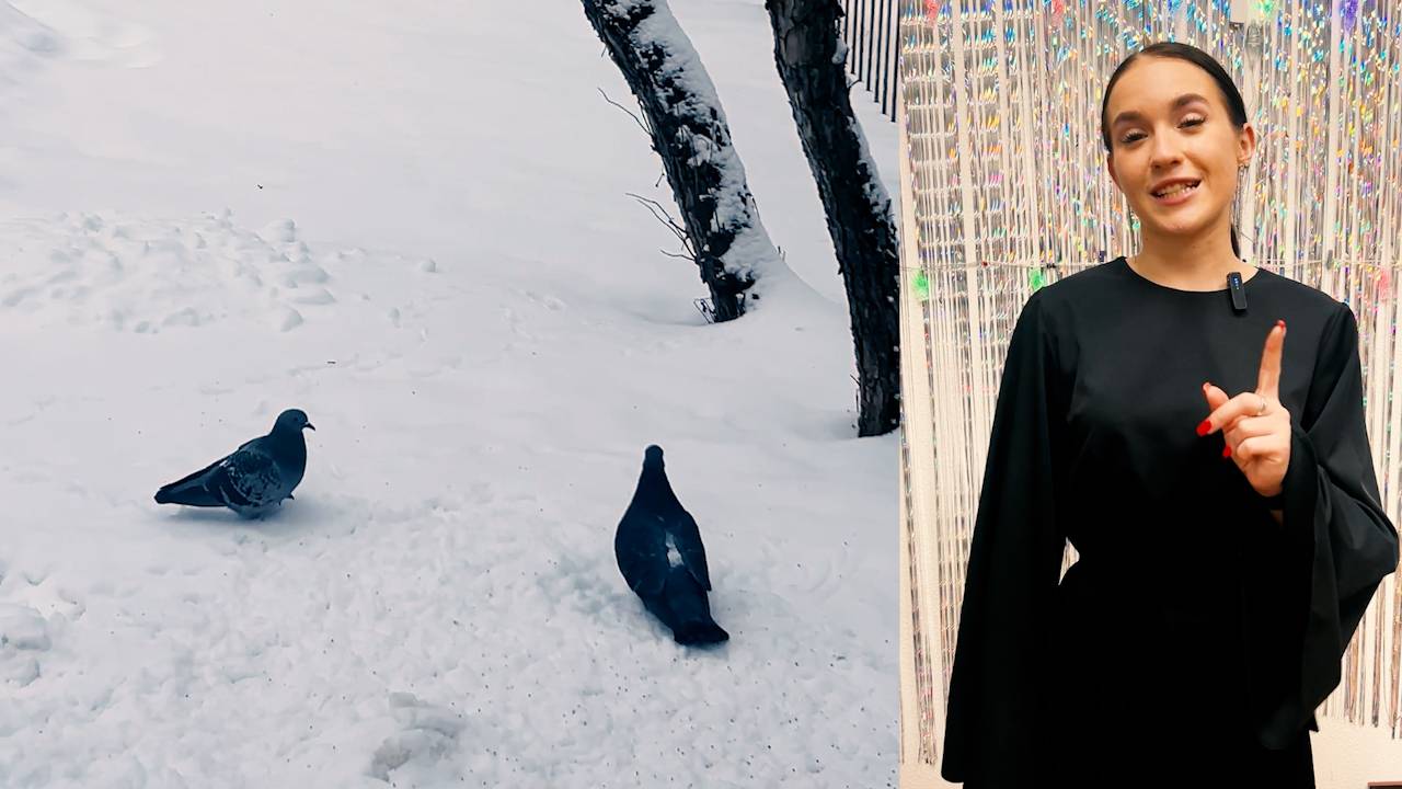 Телепередача «Лестница» №328. Эфир 09 Января 2025 года ТРК «Заречный» смотреть онлайн