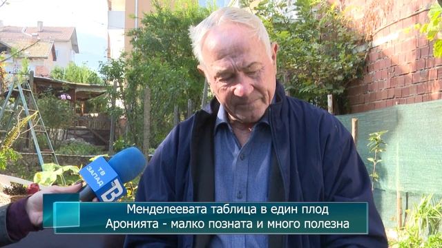 Менделеевата таблица в един плод. Аронията - малко позната и много полезна