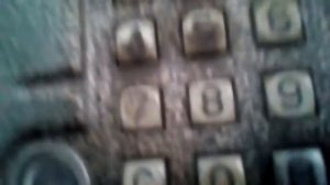 Звоним по домофонам и спрашиваем про пиццу(