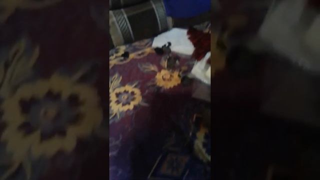 камни: неживая природа: неорганическая неживая природа