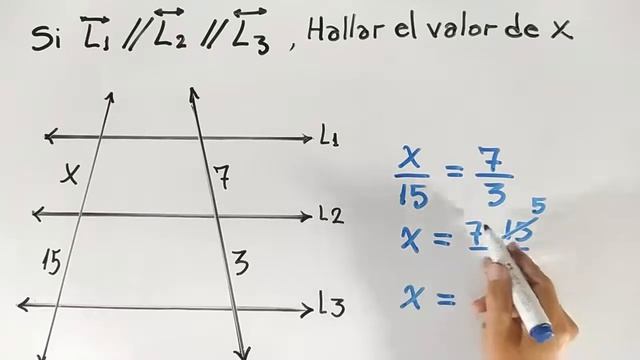 Teorema de THALES || introducción y ejercicios смотреть онлайн